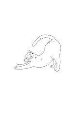 vector illustration of a cat stretching