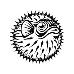 Isolated Black and White Pufferfish Spiky with Details for Commercial Use