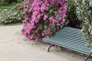 inviting bench in floral park