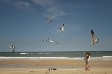 Side view teen girls feeding seagulls on beach Outer Banks
