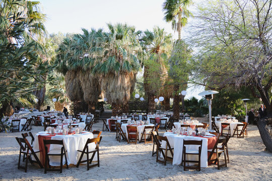 Outdoor rustic event with round tables among palm trees.