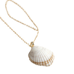 Minimalist Shell Necklace Featuring One Uniquely Sh Isolated on Transparent Background