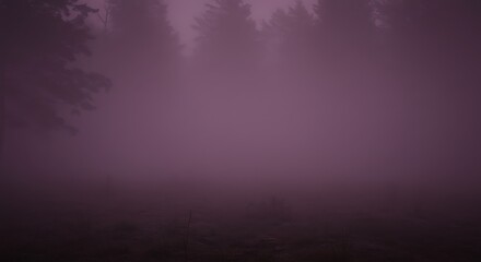 A mysterious forest shrouded in dense fog