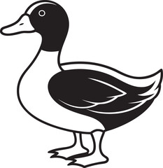 duck on a white background