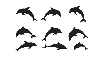 Varied Dolphin Silhouette Views