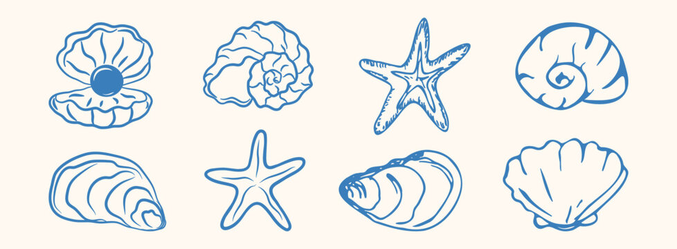 Boho summer shell set. Hand drawn ink seashells, starfish, oyster, mediterranean elements, marine icon for poster, banner, Italian menu, surf club. Tropical coastal minimalist isolated vector illustra