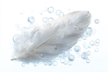 a feather is floating in a pool of water