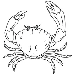 Cute cartoon hand drawn vector crab coloring page.