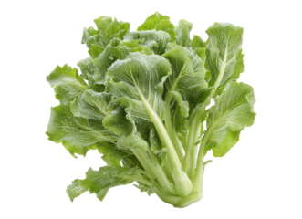 Chinese kale