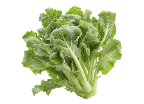 Chinese kale