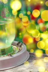 Traditional bee water feeder with bees drinking, surrounded by blooming plants