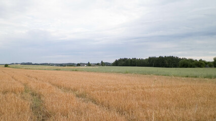 A field in Kashubia.