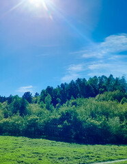 Fototapeta premium Idyllic view if meadow in center of forest.