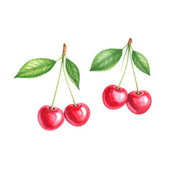 cherries on a white background