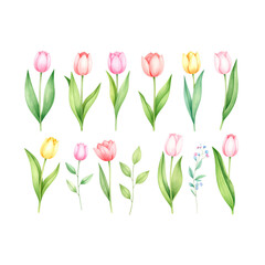 Fototapeta premium A beautiful spring bouquet of colorful tulips, including pink blooms, showcases the floral beauty of nature