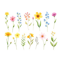 A beautiful set of colorful and pink flowers bloom in spring, showcasing nature's floral beauty