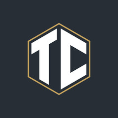 Modern Luxury Letter Monogram Logo with Polygon Frame Design
