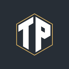 Modern Luxury Letter Monogram Logo with Polygon Frame Design
