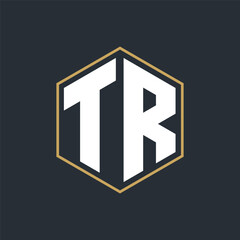 Modern Luxury Letter Monogram Logo with Polygon Frame Design
