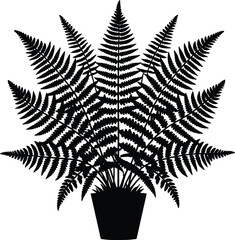 Royal Fern Tropical Plant landscape element vector illustration isolated on a white background