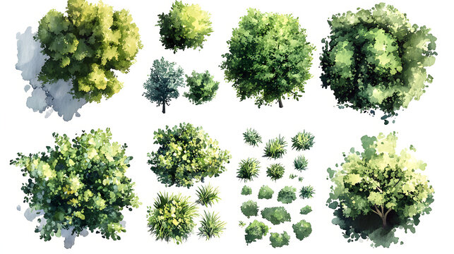 green grass isolated on white background, Set of watercolor tree top view for landscape plan and architecture layout
