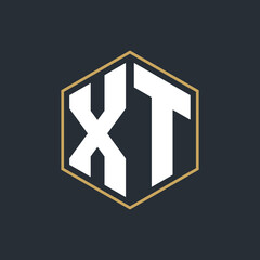 Modern Luxury Letter Monogram Logo with Polygon Frame Design
