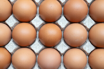 Fresh organic brown chicken eggs in cardboard tray