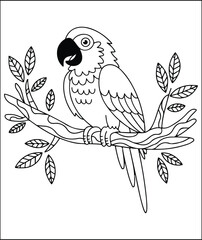 Obraz premium Cute Parrot on Branch Coloring Page Illustration
