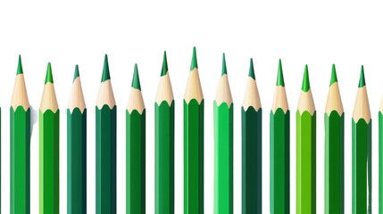 "Set of Green Color Pencils Neatly Arranged and Isolated on White Background"
