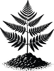 Royal Fern Tropical Plant landscape element vector illustration isolated on a white background