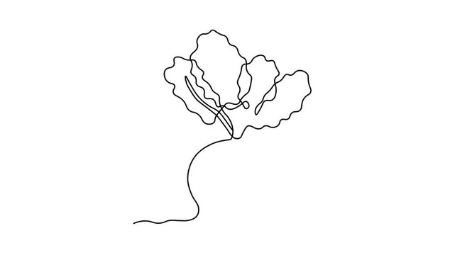 Abstract sugar beet, Self drawing animation one continuous line draw, logo