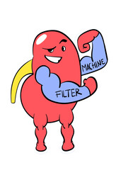 strong kidney cartoon illustration