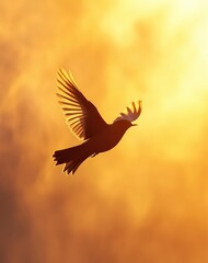 Obraz premium Majestic Bird in Flight Against a Warm Golden Sunset Glow
