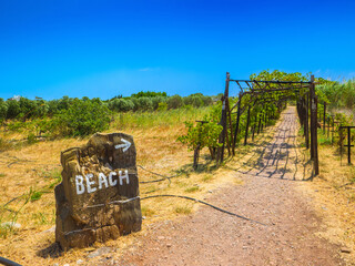 Footpath covered by grape vine trellises leading to a beach (Zakros, Crete, Greece)