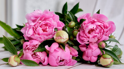 The peony is wrapped on a gray background