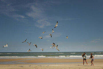 Side view young sisters feeding seagulls on beach Outer Banks