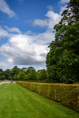 Sunny summer park in Germany