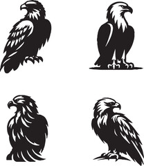 Black and White Eagle Illustrations in Various Poses