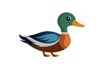 duck on white background