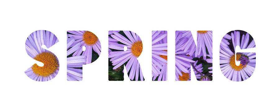 Spring text with blooming flower letters