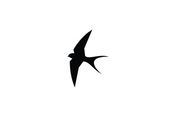 swallow logo design. logo icon vector illustration silhouette