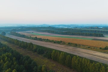 Aerial view of foggy countryside with trees and fields