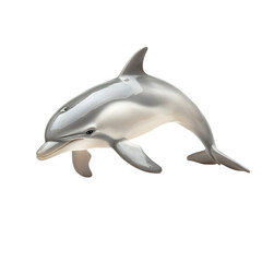 Fototapeta premium Elegant Dolphin Pose, Aquatic Mammal, Ocean Wildlife, Marine Life, Black Background