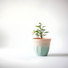 A rustic clay flower pot with visible cracks and moss along the edges.
Resting on a white surface, aged and full of character.