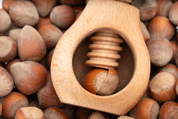Close-up of a wooden screw nutcracker cracking a hazelnut with whole hazelnuts scattered around....