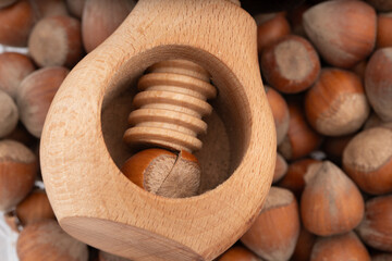 Close-up of a wooden screw nutcracker cracking a hazelnut with whole hazelnuts scattered around....