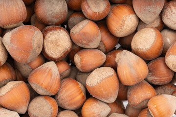 Close-up of a large group of raw hazelnuts in shells. Natural texture and earthy brown tones. Perfect for background or organic food concepts..