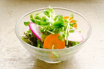 fresh vegetable salad in the bowl	
