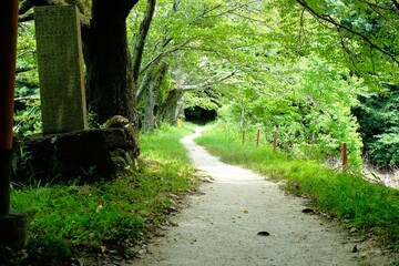 The approach to Okami Shrine, the shrine of Benzaiten, one of the Eight Great Dragon Kings, in Sakurai City, Nara