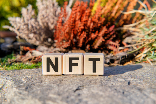 NFT - text on cubes standing on a stone on a natural background